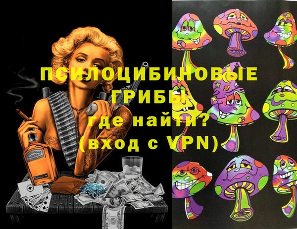 гидра Переславль-Залесский