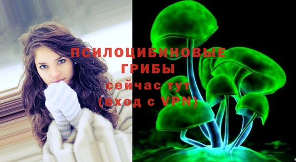 гидра Переславль-Залесский