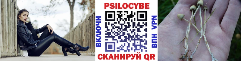 Галлюциногенные грибы GOLDEN TEACHER  Скопин 