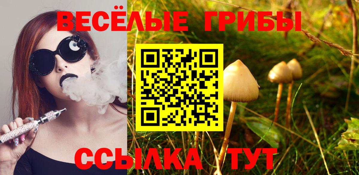 Скопин  Псилоцибиновые грибы ЛСД  Псилоцибиновые грибы Magic Shrooms  Вход с VPN 