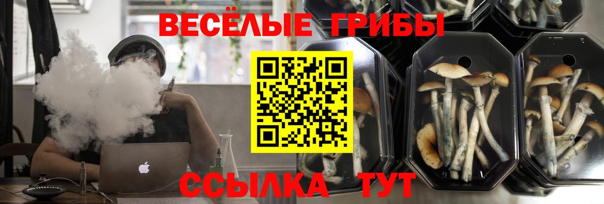 Псилоцибиновые грибы MAGIC MUSHROOMS Скопин